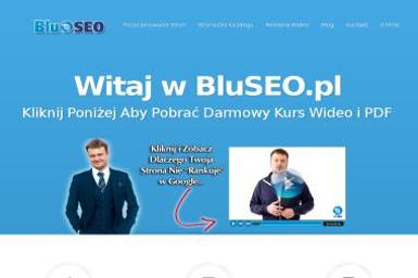 Blu Seo Pozycjonowanie Stron - Pozycjonowanie stron Szczecin