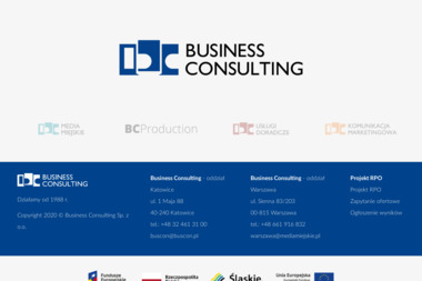 Business Consulting Telekomunikacja Sp. z o.o. - Wizytówki Na Papierze Ozdobnym Katowice