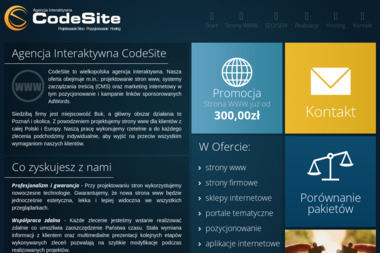 CodeSite. Agencja Interaktywna - Pozycjonowanie Buk