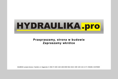 Dalmedia. Projekty graficzne, projekty logotypów - Grafik Racibórz