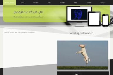 Geo-Prestiż. Usługi Geodezyjne Wojciech Sawicki - Geodeta Jarosław