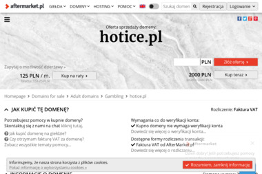 Hot Ice Grzegorz Frydrychowicz - Projekty Stron Internetowych Nowy Sącz
