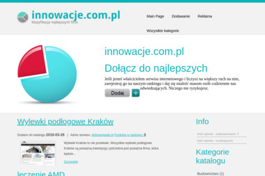 Wydawnictwo Innowacje S.C. Krystyna Pędzikiewicz Irena S.A. - Optymalizacja Stron Ustroń