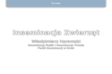 InsHar Bartłomiej Haremski - Webmasterzy Krobia