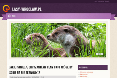Nadleśnictwo Szklarska Poręba - Drzewo Na Sprzedaż Szklarska Poręba