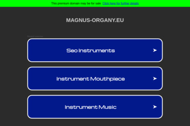 Magnus Organy - Folder Reklamowy Sulechów