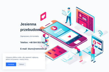 NetVISTOR Internet Solution - Pozycjonowanie Stron WWW Gliwice