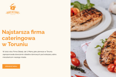 Magdzińska Iwona Magmag Firma Usługowo Handlowa Obiady Jak u Mamy - Dieta Na Zamówienie Toruń