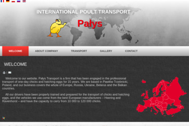 Firma Handlowo Usługowa Waldek Pałys Sp&oacute;łka Jawna - Transport Ciężki Pawł&oacute;w Trzebnicki