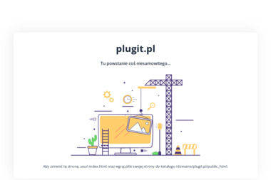 PlugIT Electronics - Webmasterzy Kartuzy