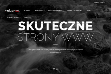 Rabanet Karczewski Radosław - Strony WWW Konin