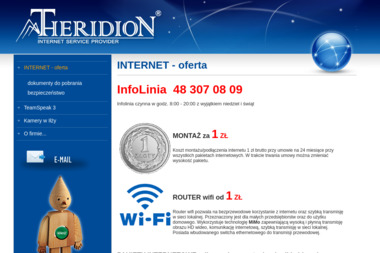 Theridion Rodziewicz, Borkowski, Misztal Sp.J. - Systemy Informatyczne Iłża