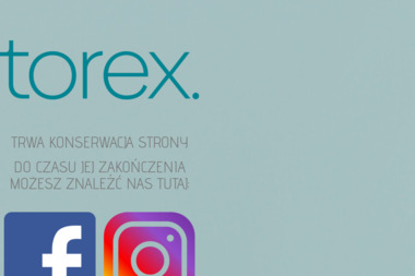 Torex Sp. z o.o. - Usługi Stolarskie Janowice