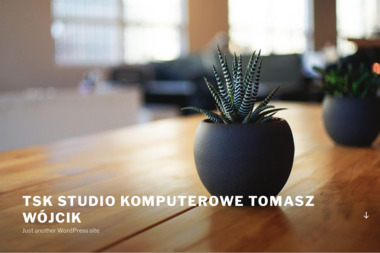 TSK Studio Komputerowe - Pogotowie Komputerowe Nowy Sącz