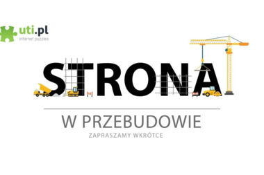 Koput Przemysław - Przyłącze Elektryczne Do Domu Szamotuły