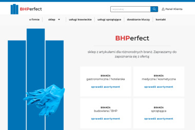 P.H.U. BH Perfect - Odśnieżanie dachów Łęczyca