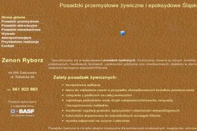 Zenon Ryborz Posadzki przemysłowe - Wylewki Betonowe Gaszowice
