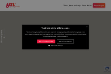 youngmedia - Projektowanie Stron www Tychy