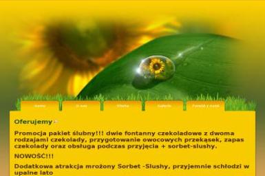 Słonecznik. Fontanna czekoladowa, czekoladowa fontanna - Usługi Kulinarne Radom