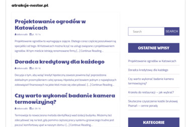 Atrakcje - Nestor - Muzyk Warszawa