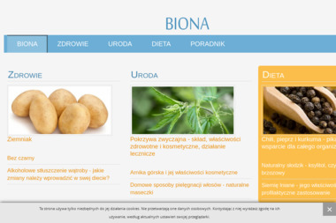 Biona Sp. z o.o. - Masaż Katowice