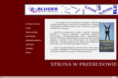 Bluger Agencja Reklamowa Grzegorz Wiśnik - Agencja reklamowa Łódź