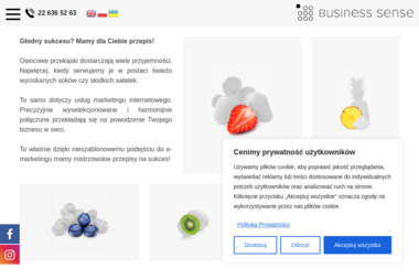 Business Sense Agencja Sem Sp. z o.o. Sp&oacute;łka Komandytowa oddział w Łodzi - Strony WWW Ł&oacute;dź