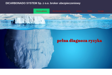 Dicarbonado System Sp. z o.o. - Ubezpieczenia na Wyjazd Katowice