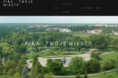 Zakład Handlowo Usługowy Domena Katarzyna Koczwarska - Kolektory słoneczne Piła