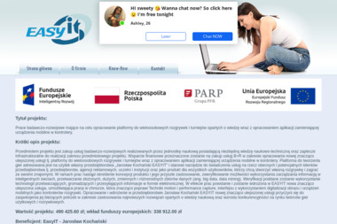 EasyIT. Tworzenie stron www, pozycjonowanie stron www, kampanie Google AdWords - Obsługa Stron Responsywnych Krak&oacute;w