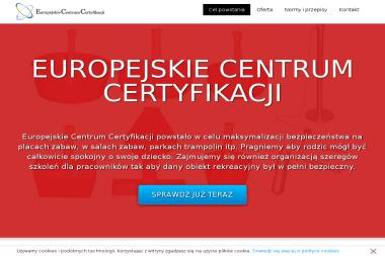 Euro Consulting Centre - samochody, ubezpieczenia - Ubezpieczenie firmy Czarnków