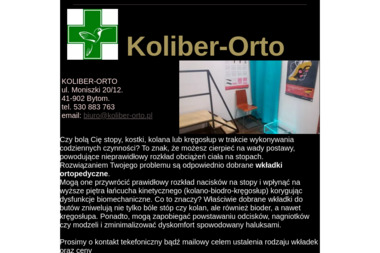 koliber-orto sp.z.o.o - Masaże Rehabilitacyjne Bytom