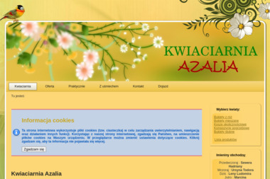 Kwiaciarnia Azalia - Kosze Prezentowe Poznań