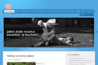 Hanah Hanna Hirsz - Paczki Mikołajkowe dla Dzieci Gdańsk