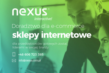 Nexus Interactive S.C. - Pozycjonowanie stron Dachowa