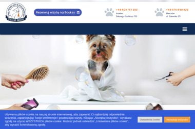 Pies Na Medal. Strzyżenie psów, psi fryzjer - Salon Fryzjerski Kraków