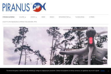 Piranus PPHU Wojciech G Musiał - Sesje Kobiece Poznań