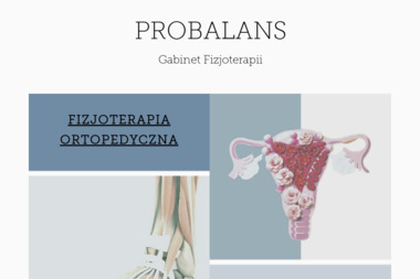 Gabinet Fizjoterapii Probalans - Fizjoterapeuta Kraków
