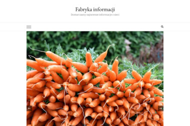 Progress Factory Centrum Język&oacute;w Obcych S.C. - Szkoła Językowa Bydgoszcz