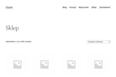 Centrum Zabaw Psotnik. Urodziny dla dziecka, organizacja urodzin - Agencja Niań Białystok