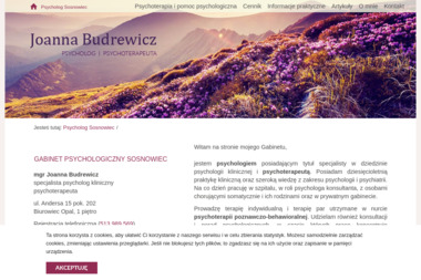 Joanna Budrewicz Prywatna Praktyka Psychologiczna - Masaże Rehabilitacyjne Katowice