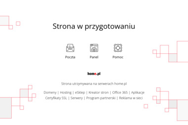 ReverseLogic - Obsługa Stron Internetowych Katowice