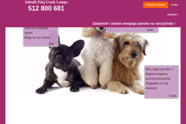Salonik Psiej Urody Lampo - Modne Fryzury Poznań