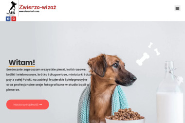 Zwierzo-Wizaż - Portrety Biznesowe Toruń