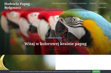 Publiczny Transport Drogowy Piotr Bejmowicz - Transport Materiał&oacute;w Budowlanych Bydgoszcz