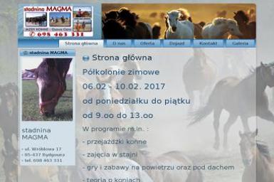 Magma Magdalena Niemczyńska - Nauka pływania Bydgoszcz