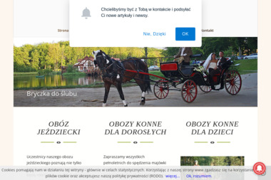 Obozy Konne Trotter - Kolonie Przewłoka