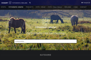 Vivart Żaneta Maciejowska - Kampanie Marketingowe Szczecin