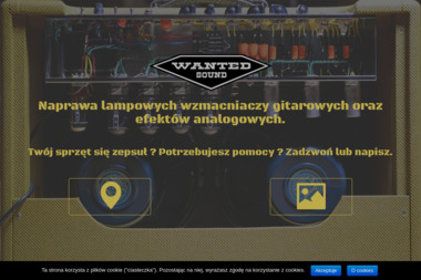 Paweł Piórkowski Firma Usługowo Produkcyjno Handlowa Wanted Sound - Usługi RTV Gdynia
