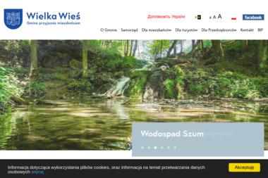 Gminny Ośrodek Pomocy Społecznej w Wielkiej Wsi - Agencja Niań Szyce